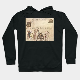 Funny Medieval, Funny Behold The Field, Zero Fucks meme, Humor Dank Meme Hoodie